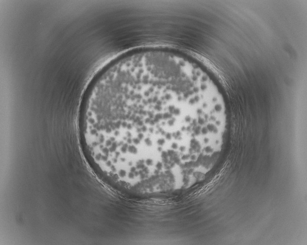 X0000115740943200912101311