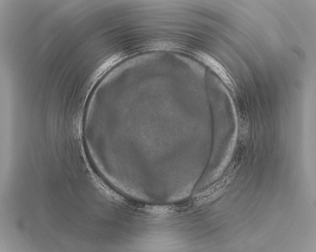 X0000115740946200912101311