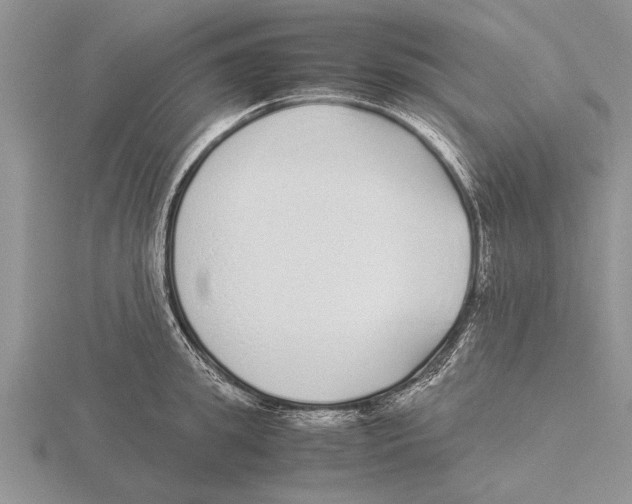 X0000115740949200912101311