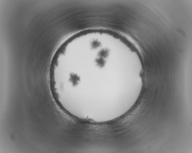 X0000115740951200912101311