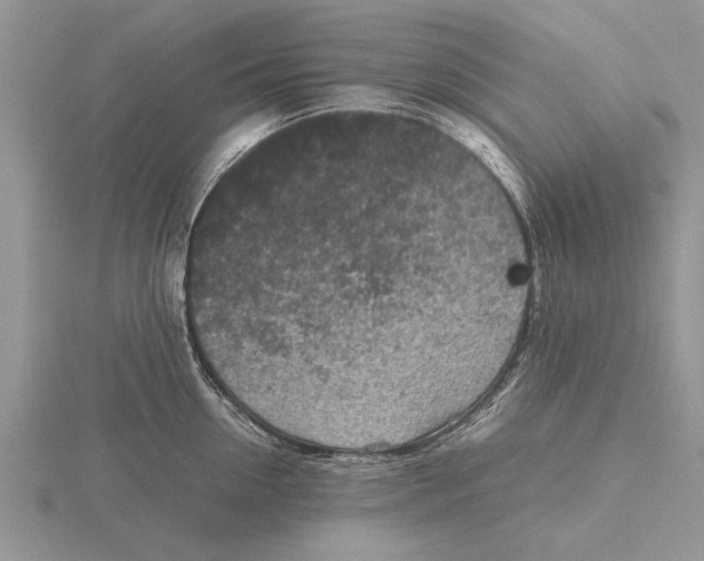 X0000115740954200912101311