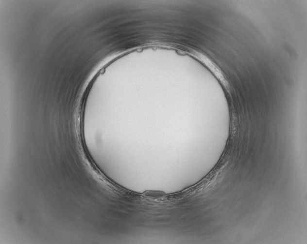 X0000115740955200912101311