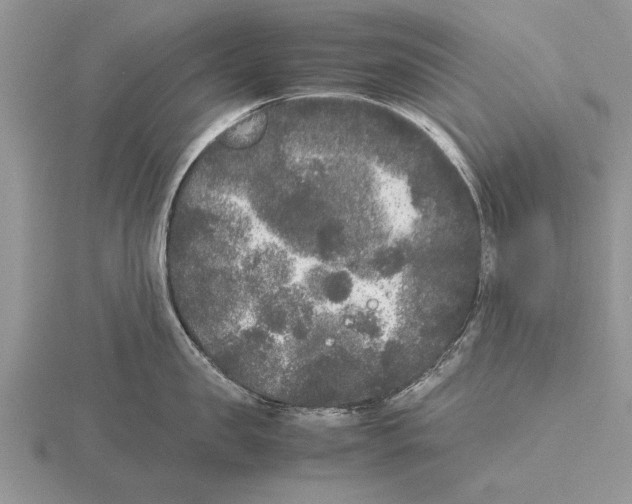 X0000115740957200912101312