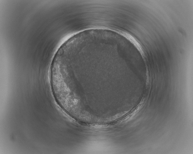 X0000115740958200912101312