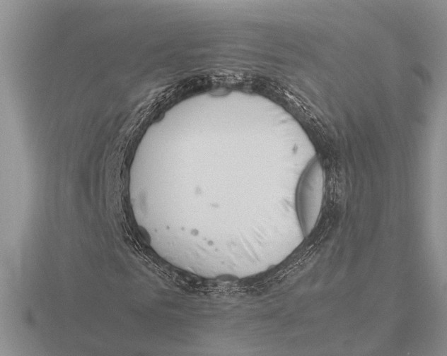 X0000115740961200912101311