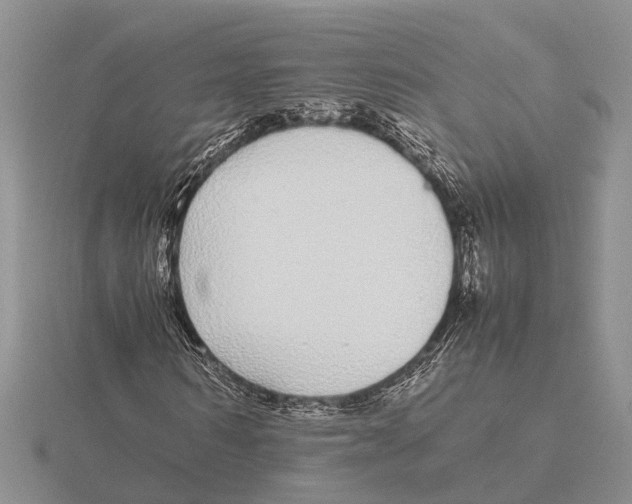 X0000115740962200912101311