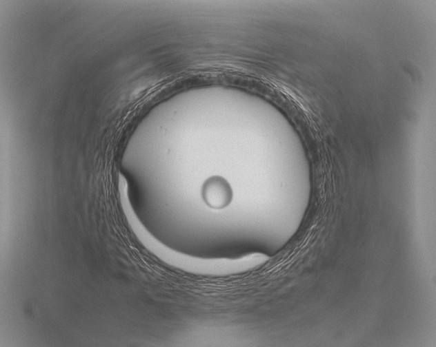 X0000115740965200912101311