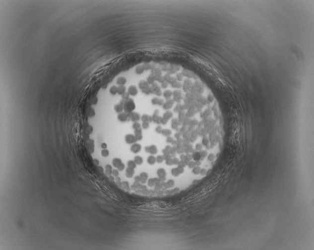 X0000115740966200912101311