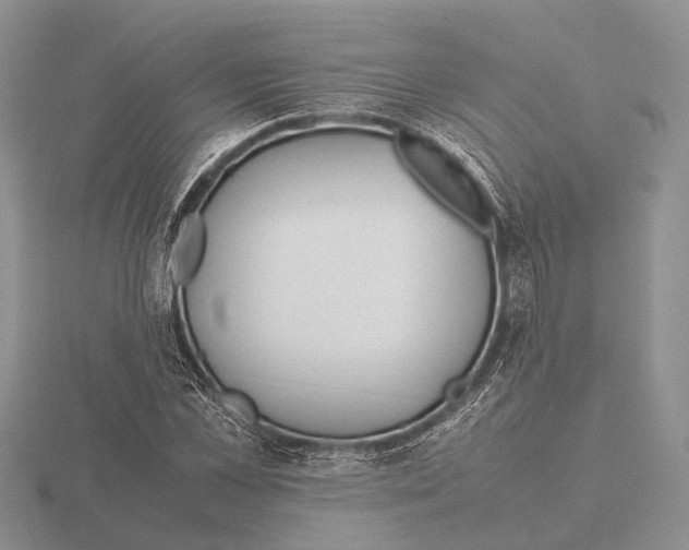 X0000115740973200912101311