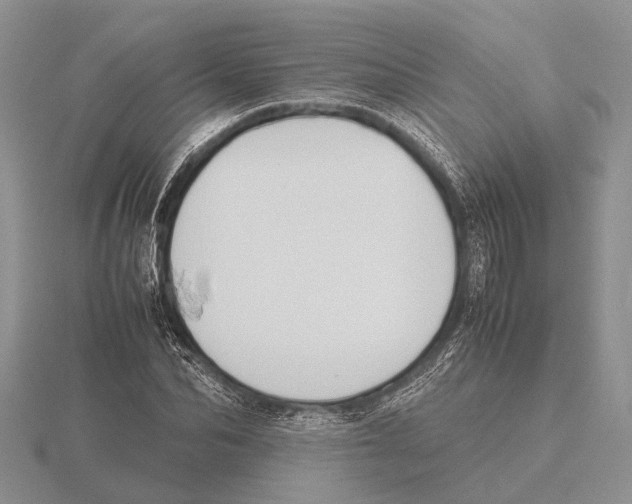 X0000115740974200912101311