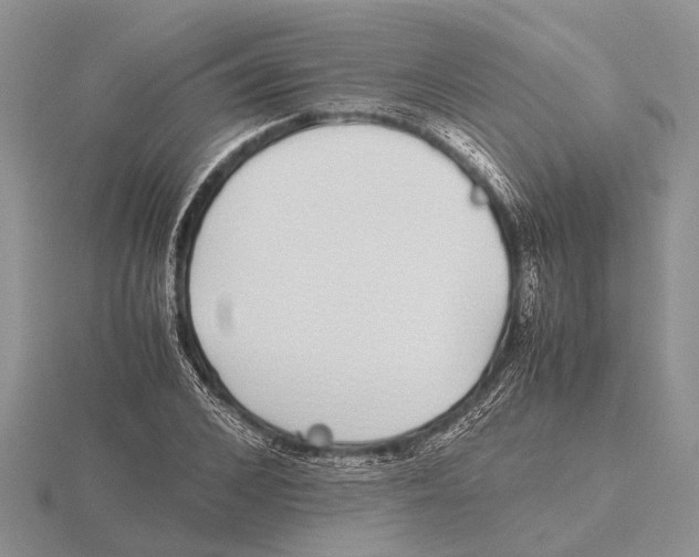 X0000115740976200912101311