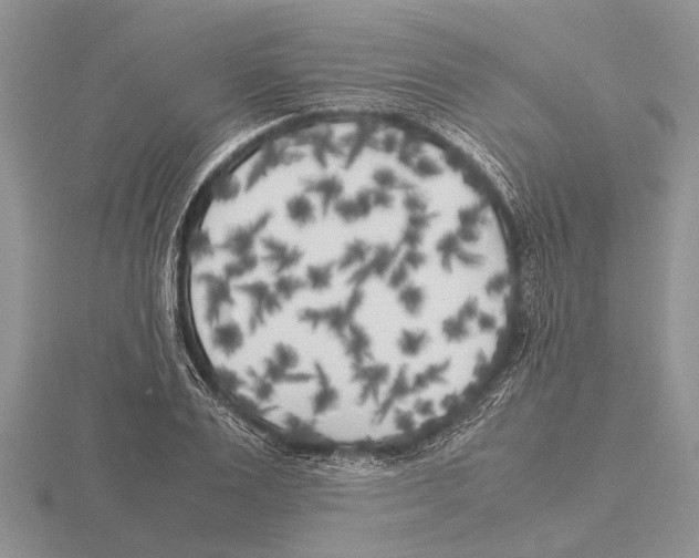 X0000115740983200912101311