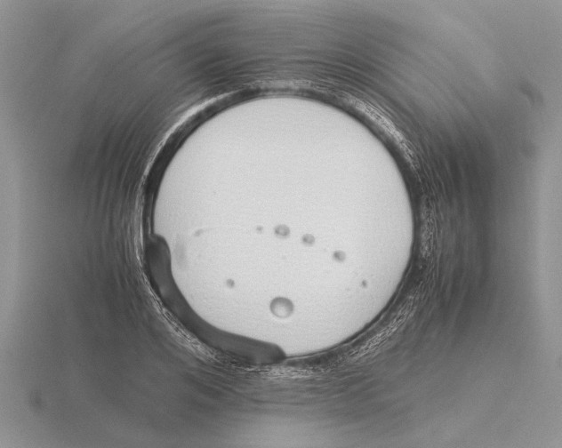 X0000115740984200912101311