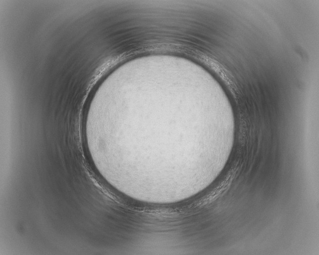 X0000115740986200912101311