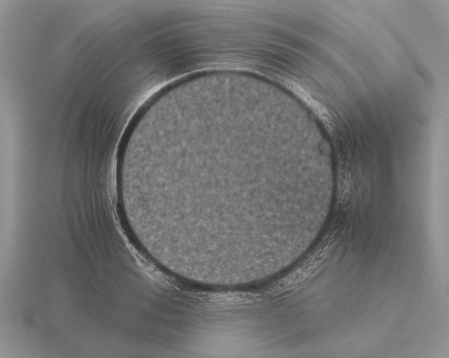 X0000115740988200912101310