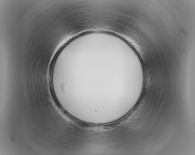 X0000115740990200912101310