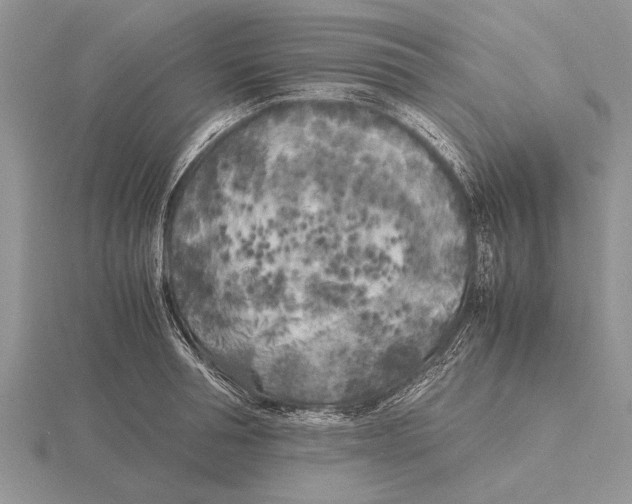 X0000115740994200912101310