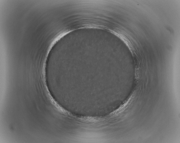 X0000115740995200912101310