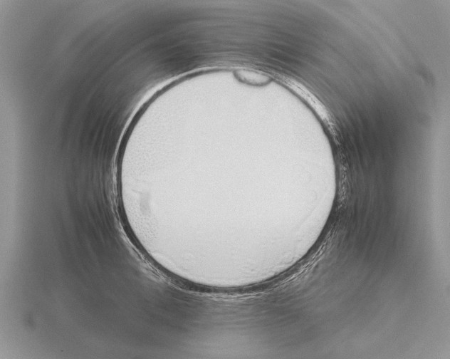 X0000115740996200912101310