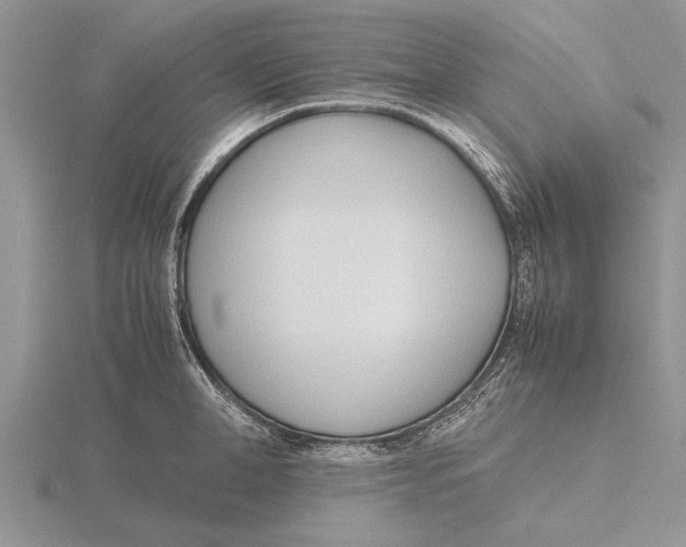 X0000115740998200912101310