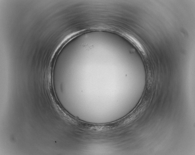 X0000115741000200912101310