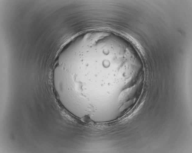 X0000115741001200912101310