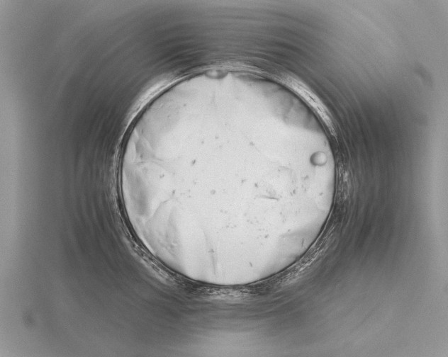 X0000115741002200912101310