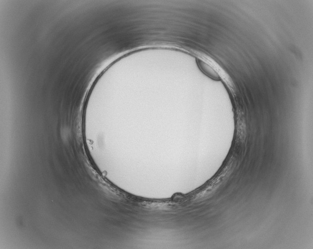 X0000115741004200912101310