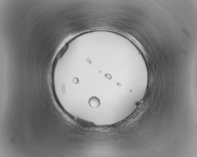 X0000115741005200912101310