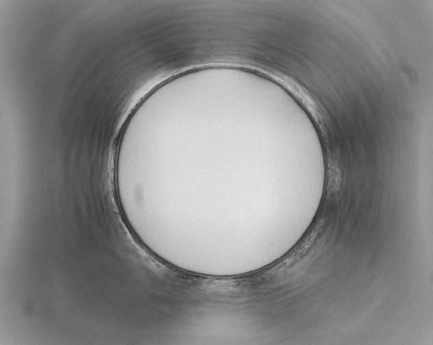 X0000115741006200912101310