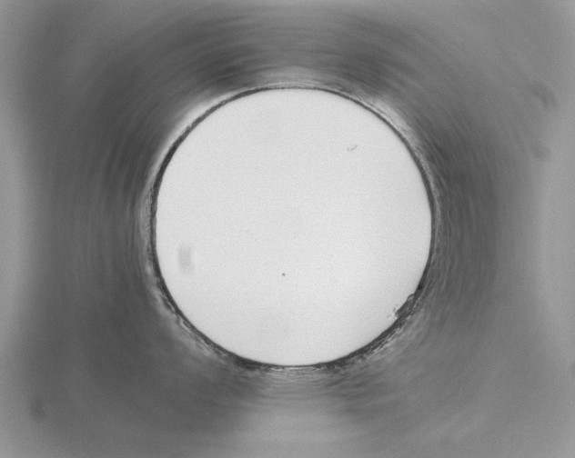 X0000115741008200912101310