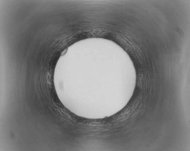 X0000115741010200912101310