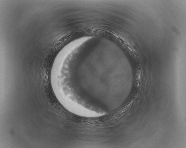 X0000115741013200912101310