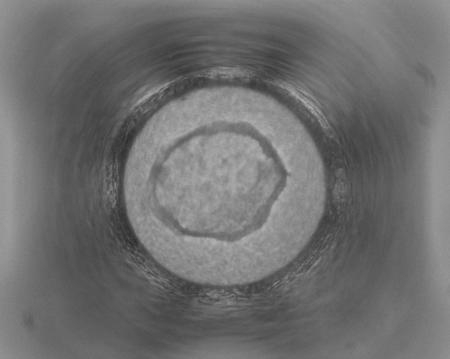 X0000115741015200912101310