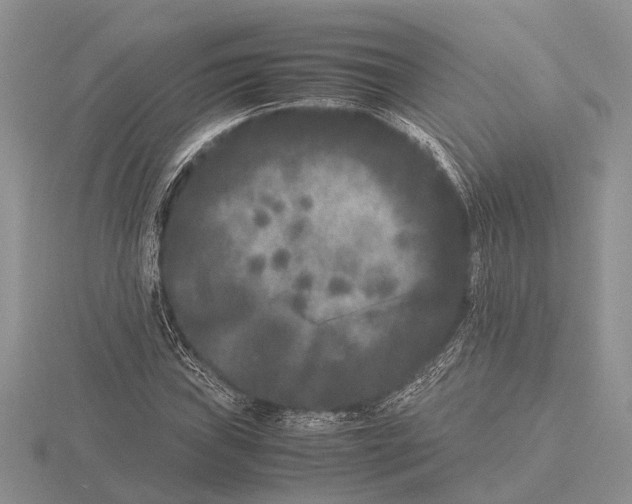 X0000115741019200912101310