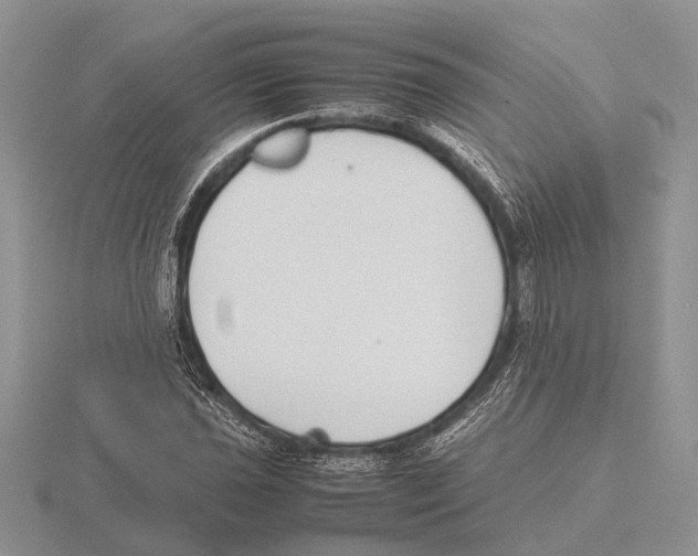 X0000115741021200912101310