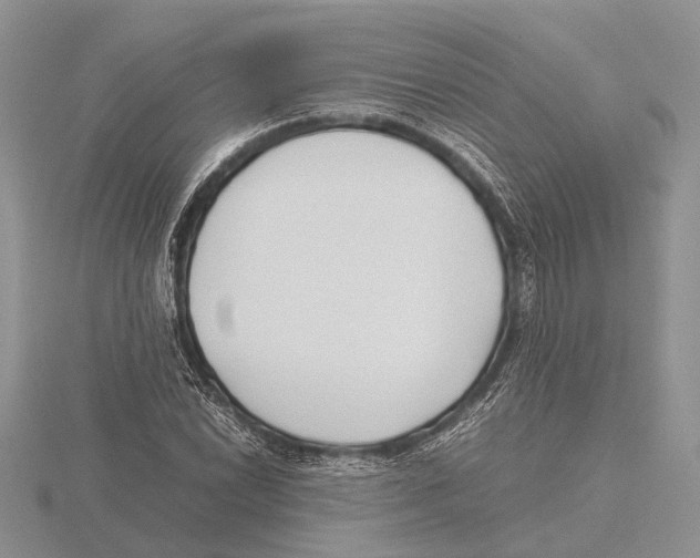 X0000115741022200912101310