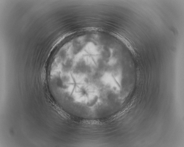 X0000115741023200912101310