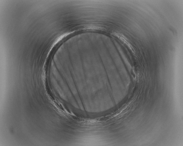 X0000115741024200912101310