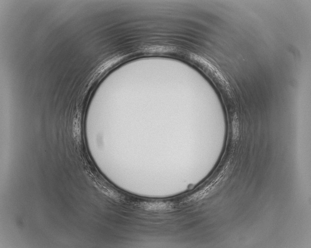 X0000115741025200912101310