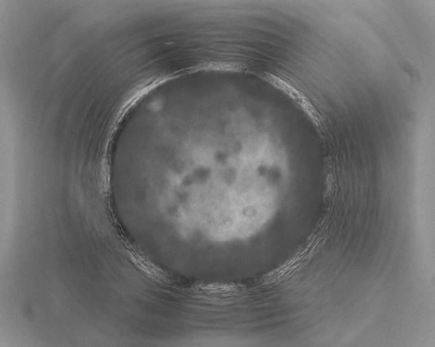 X0000115741027200912101310