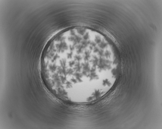 X0000115741028200912101310