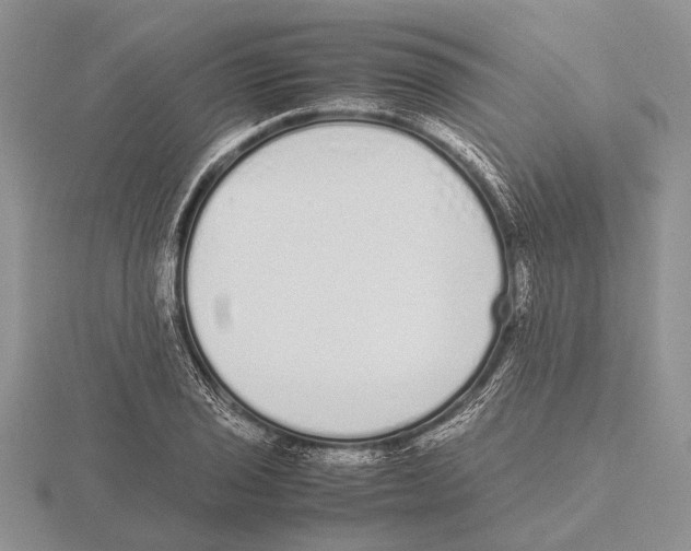 X0000115741029200912101310