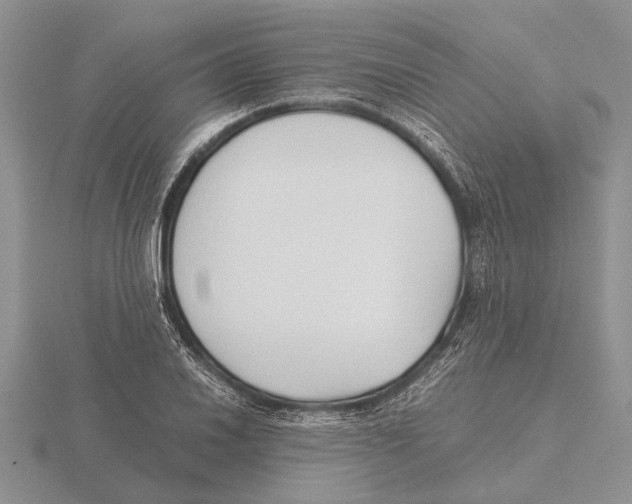 X0000115741030200912101310