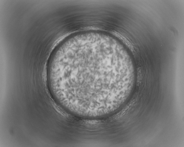 X0000115741031200912101310