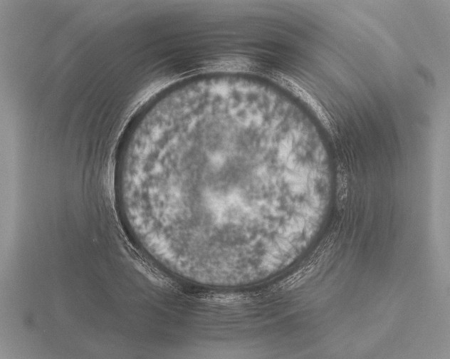 X0000115741035200912101310