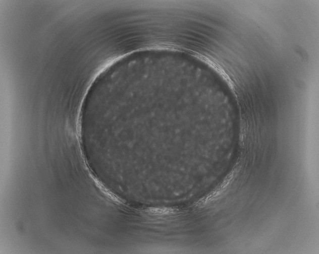 X0000115741037200912101310