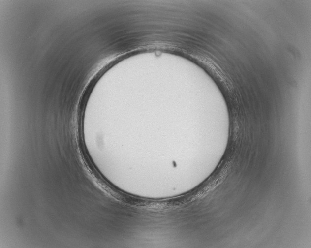 X0000115741038200912101310