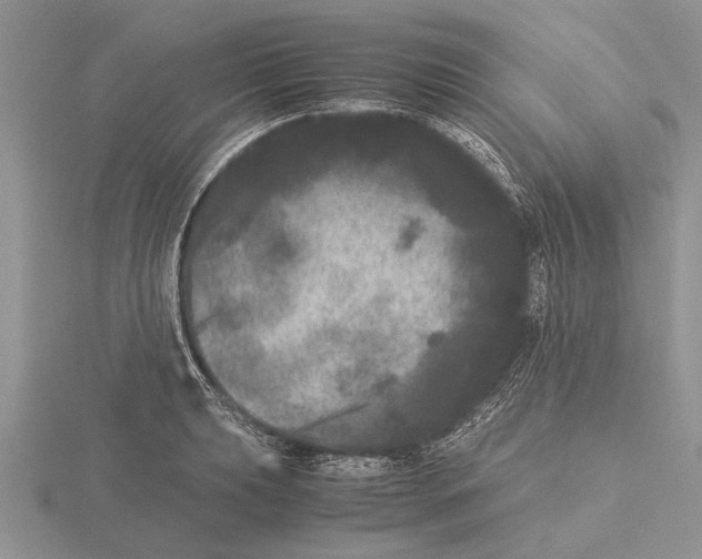 X0000115741039200912101310