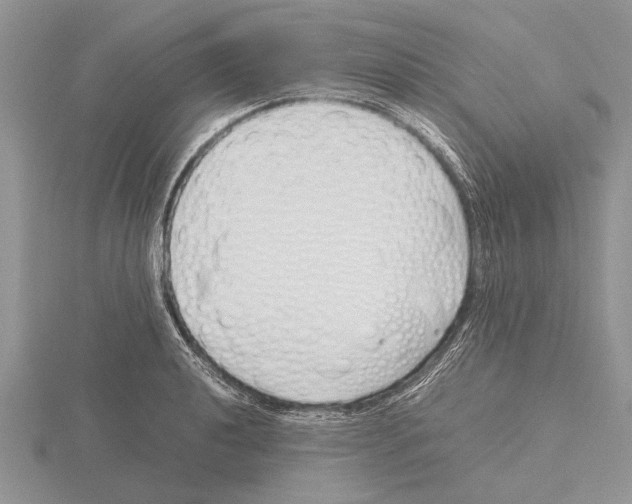 X0000115741040200912101310